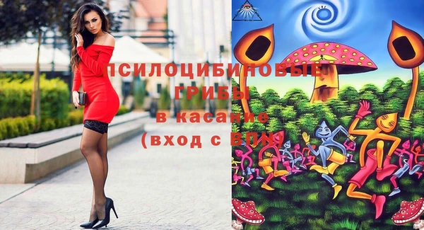 герыч Алексин