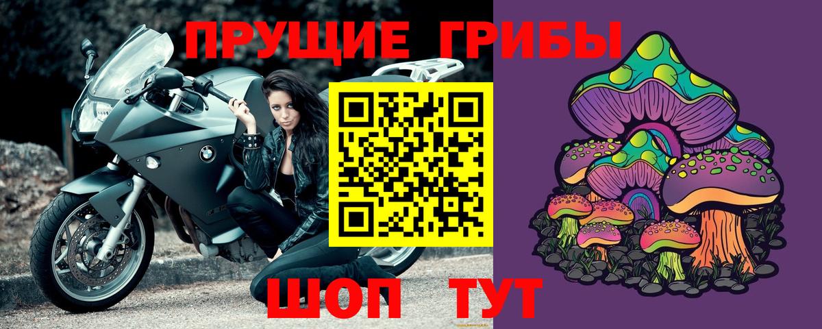 Галлюциногенные грибы GOLDEN TEACHER  Вход с VPN  Егорьевск 